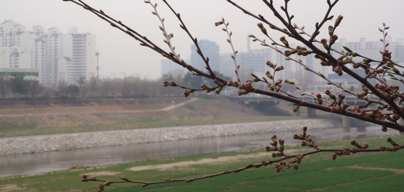 spring120402-main
